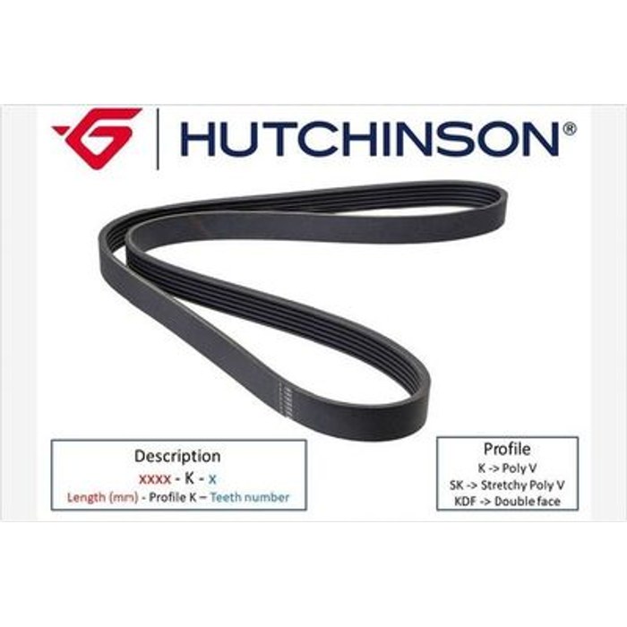 6PK1437 COUR POLY-V FIAT PSA PARTNER BERINGO 1.9D M59 — HUTCHINSON 1437K6