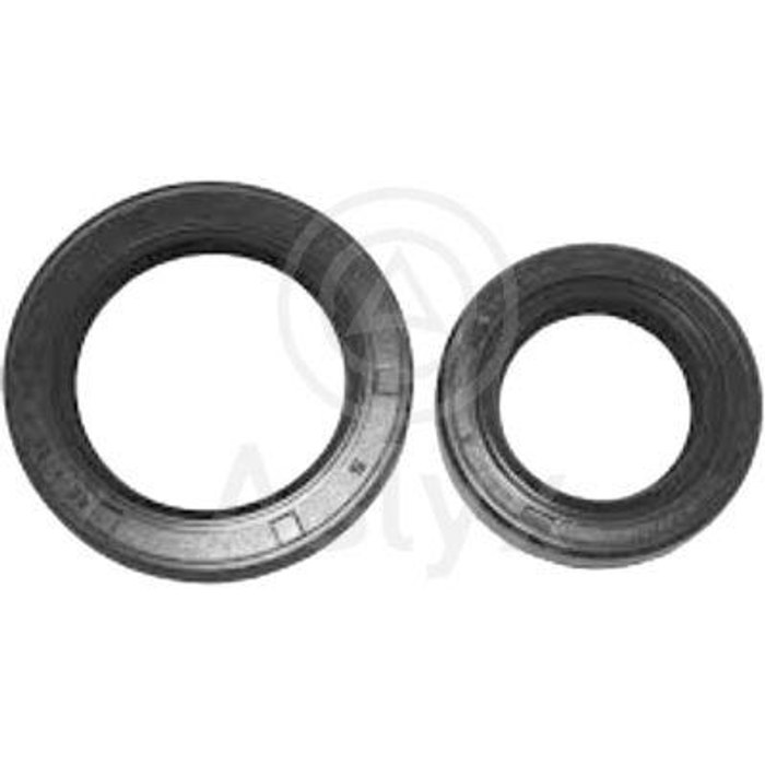 JEUX DE 2 PARAHUILE CARDON DT+GH PSA C3 /1213463/1213443 — ASLYX AS202048