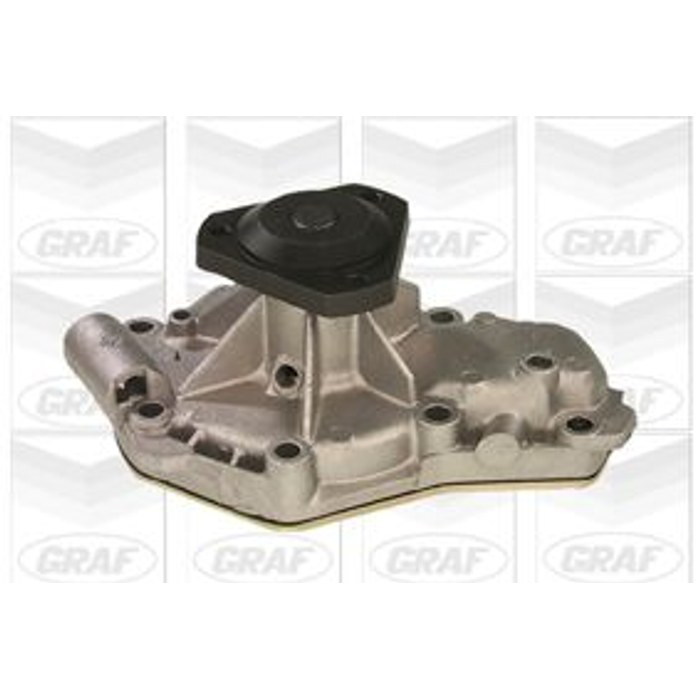 POMPE A EAU REN R21D — GRAF PA543