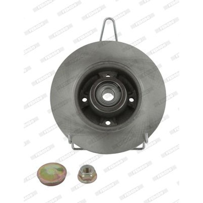 DISQUE FREIN AR CLIO/MEGANE II R1005PCA — FERODO DDF1571-1