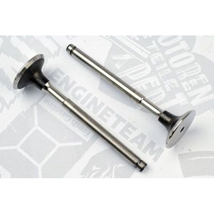 SOUPAPE ECH 0631 REN R21 R25 MASTER TRAFIC 2.1D 0631 — FRECCIA R3640/BM
